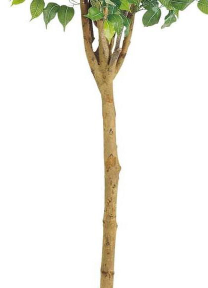 人工観葉植物 大型 180cm ラウンドフィカスツリー(ナチュラルトランク) 光触媒スプレープレゼント [ONSLETR7641] 代引決済不可 送料無料 | アートフラワー 造花 フェイクグリーン 植木 装飾 飾付 店舗装飾 ディスプレイ 飾り付け インテリア おしゃれ