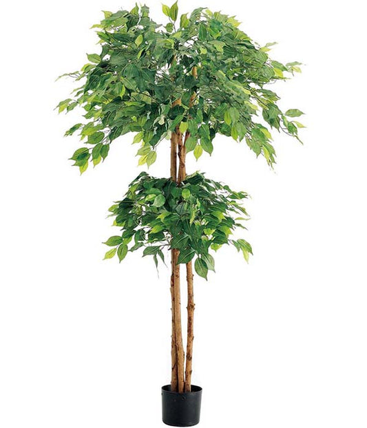 150cm ダブルフィカスツリー(ナチュラルトランク)[ONSLETR7637] 光触媒スプレープレゼント 代引決済不可 送料無料 |人工観葉植物 フェイクグリーン 造花 装飾 飾り付け 店舗装飾 ディスプレイ 室内装飾 インテリア 大型