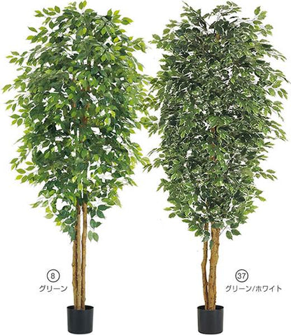 240cm フィカスツリー(ナチュラルトランク) 光触媒スプレープレゼント [ONSLETR7636] 代引決済不可 送料無料 |人工観葉植物 大型 アートフラワー 造花 フェイクグリーン 植木 装飾 飾付 イベント パーティー 店舗装飾 ディスプレイ 飾り付け インテリア おしゃれ