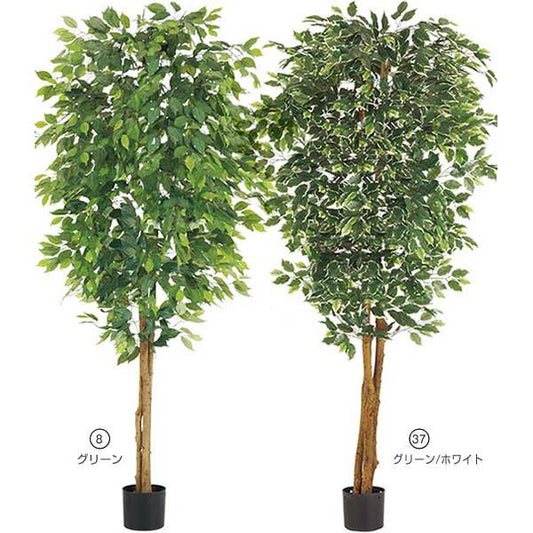 210cm フィカスツリー(ナチュラルトランク)[ONSLETR7635] 光触媒スプレープレゼント 代引決済不可 送料無料 |人工観葉植物 フェイクグリーン 造花 装飾 飾り付け 店舗装飾 ディスプレイ 室内装飾 インテリア 大型ツリー