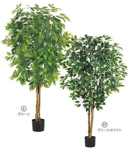 150cm フィカスツリー(ナチュラルトランク)[ONSLETR7633] 光触媒スプレープレゼント 代引決済不可 送料無料 |人工観葉植物 フェイクグリーン 造花 装飾 飾り付け 店舗装飾 ディスプレイ 室内装飾 インテリア 大型