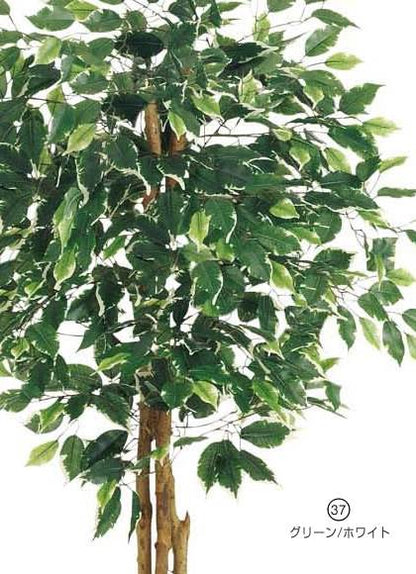 120cm フィカスツリー(ナチュラルトランク) 光触媒スプレープレゼント [ONSLETR7632] 代引決済不可 送料無料 |人工観葉植物 大型 アートフラワー 造花 フェイクグリーン 植木 装飾 飾付 イベント パーティー 店舗装飾 ディスプレイ インテリア おしゃれ フィカス ツリー