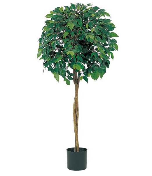 120cm フィカスツリー(ナチュラルトランク) 光触媒スプレープレゼント [ONSLETR7464] 代引決済不可 送料無料 |人工観葉植物 大型 アートフラワー 造花 フェイクグリーン 植木 装飾 飾付 店舗装飾 ディスプレイ 飾り付け インテリア おしゃれ