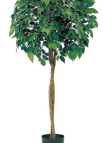 120cm フィカスツリー(ナチュラルトランク) 光触媒スプレープレゼント [ONSLETR7464] 代引決済不可 送料無料 |人工観葉植物 大型 アートフラワー 造花 フェイクグリーン 植木 装飾 飾付 店舗装飾 ディスプレイ 飾り付け インテリア おしゃれ
