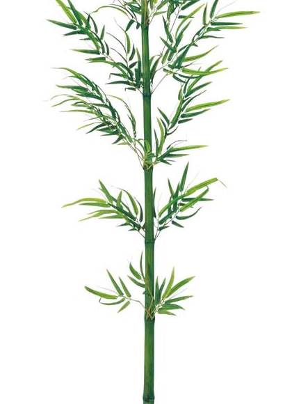180cm 竹大枝(ナチュラルトランク) 光触媒スプレープレゼント [ONSLETR7643] 代引決済不可 送料無料 |造花 フラワー フェイク 人工観葉植物 装飾 デコレーション 飾り イベント パーティー アレンジメント 店舗装飾 フェイクグリーン ツリー ディスプレイ 飾り付け 七夕 タケ