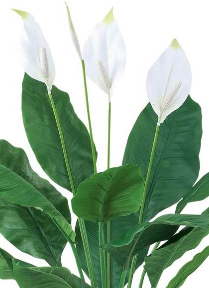 105cm スパッティフィリウム [ONSLETR7614] 送料無料 |人工観葉植物 アートフラワー 造花 フラワー フェイクグリーン 装飾 飾付 小物 デコレーション 飾り イベント パーティー フラワーアレンジメント 店舗装飾 ディスプレイ 室内装飾 飾り付け