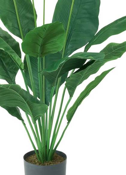 105cm スパッティフィリウム [ONSLETR7614] 送料無料 |人工観葉植物 アートフラワー 造花 フラワー フェイクグリーン 装飾 飾付 小物 デコレーション 飾り イベント パーティー フラワーアレンジメント 店舗装飾 ディスプレイ 室内装飾 飾り付け