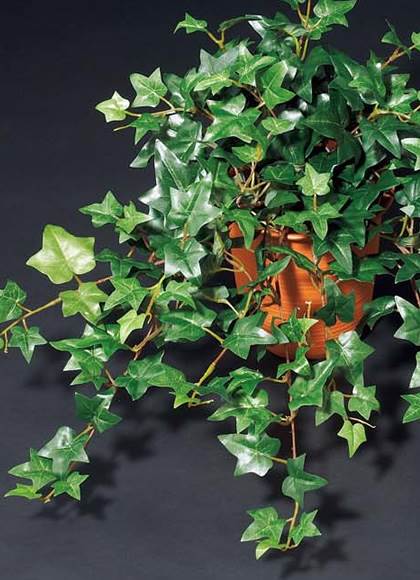 55cm イングリッシュアイビーブッシュ(222) [ONSLEBU7600] |造花 フラワー フェイク 人工観葉植物 リーフ 装飾 デコレーション  イベント パーティー フラワーアレンジメント 店舗装飾 フェイクグリーン ガーランド ディスプレイ 飾り付け インテリア おしゃれ 鉢花 鉢植え