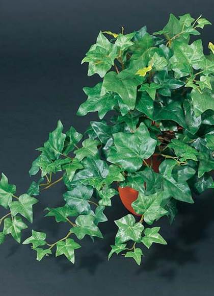55cm イングリッシュアイビーブッシュ(162) [ONSLEBU1591] |人工観葉植物  フェイクグリーン 造花 装飾 デコレーション 飾り付け 店舗装飾 ディスプレイ 室内装飾 インテリア フラワーアレンジメント