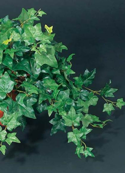 55cm イングリッシュアイビーブッシュ(162) [ONSLEBU1591] |人工観葉植物  フェイクグリーン 造花 装飾 デコレーション 飾り付け 店舗装飾 ディスプレイ 室内装飾 インテリア フラワーアレンジメント