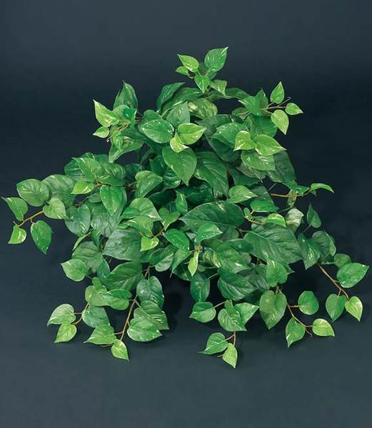 55cm ポトスブッシュ(162) [ONSLEBU1595] |造花 フラワー フェイク 人工観葉植物 リーフ 装飾 デコレーション 飾り イベント パーティー フラワーアレンジメント 店舗装飾 フェイクグリーン ガーランド ディスプレイ 飾り付け インテリア おしゃれ 鉢花 鉢植え