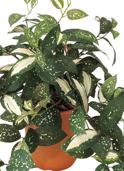 50cm コルディリネブッシュ(174) [ONSLEBU7618] |造花 フラワー フェイク 人工観葉植物 リーフ 装飾 デコレーション 飾り イベント パーティー フラワーアレンジメント 店舗装飾 フェイクグリーン ガーランド ディスプレイ 飾り付け インテリア おしゃれ 鉢花 鉢植え