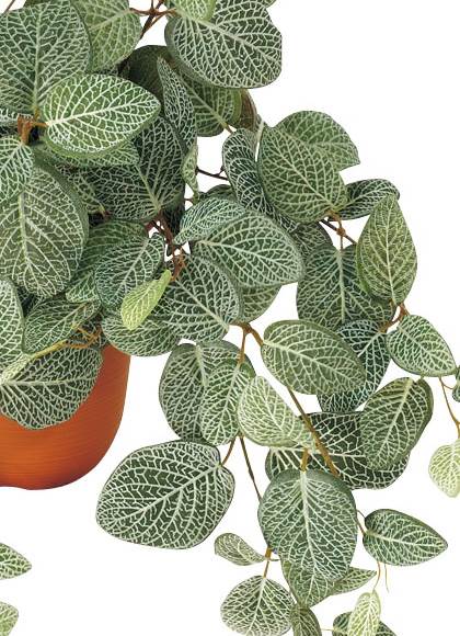 50cm フィットニアブッシュ(174) [ONSLEBU7619] |人工観葉植物 フェイクグリーン 造花 装飾 デコレーション 飾り付け 店舗装飾 ディスプレイ 室内装飾 インテリア フラワーアレンジメント ポトス