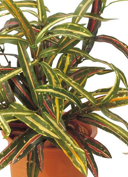 35cm アクバブッシュ(84) [ONSLEBU7623] |造花 フラワー フェイク 人工観葉植物 リーフ 装飾 デコレーション 飾り イベント パーティー フラワーアレンジメント 店舗装飾 フェイクグリーン ガーランド ディスプレイ 飾り付け インテリア おしゃれ 鉢花 鉢植え