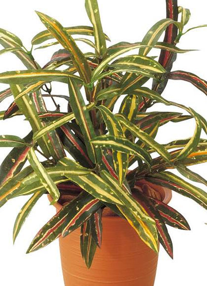 35cm アクバブッシュ(84) [ONSLEBU7623] |造花 フラワー フェイク 人工観葉植物 リーフ 装飾 デコレーション 飾り イベント パーティー フラワーアレンジメント 店舗装飾 フェイクグリーン ガーランド ディスプレイ 飾り付け インテリア おしゃれ 鉢花 鉢植え