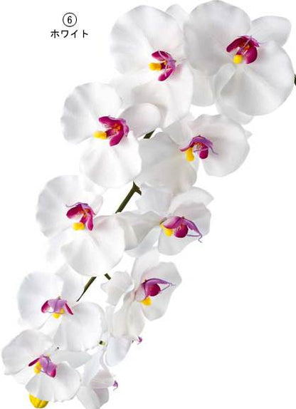 100cm ファレノプシス(11/1) [ONSFLSP7838] |人工観葉植物 アートフラワー 造花 フラワー フェイクグリーン 装飾 飾付 小物 デコレーション 飾り イベント パーティー フラワーアレンジメント 店舗装飾 蘭 らん ラン ホワイト パープル ディスプレイ 室内装飾 飾り付け