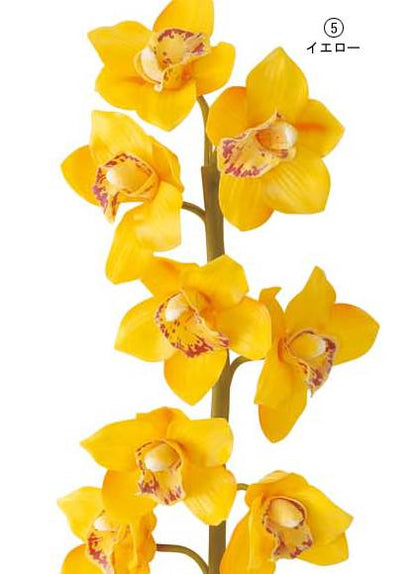 80cm シンビジウム(10) [ONSFLSP7831] |人工観葉植物 アートフラワー 造花 フラワー フェイクグリーン 装飾 飾付 小物 デコレーション 飾り イベント パーティー フラワーアレンジメント 店舗装飾 蘭 らん ラン イエロー ビューティ クリーム ディスプレイ 室内装飾 飾り付け