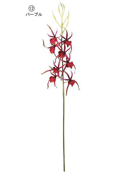 75cm スパイダーオーキッド(8)[ONSFLSP7820] |人工観葉植物 アートフラワー 造花 フラワー フェイクグリーン 装飾 飾付 小物 デコレーション 飾り イベント パーティー フラワーアレンジメント 店舗装飾 花束 オーキッド パープル ビューティ ディスプレイ 室内装飾 飾り付け