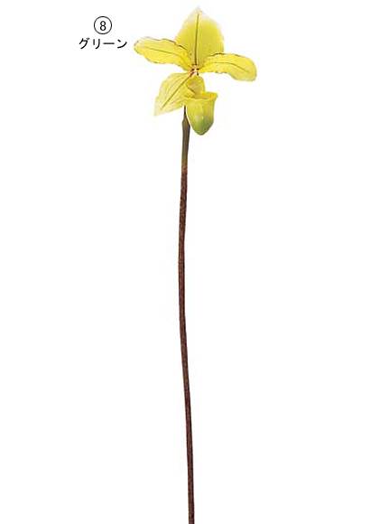 75cm パフィオペディルム [ONSFLSP3694] |人工観葉植物 アートフラワー 造花 フラワー フェイクグリーン 装飾 飾付 小物 デコレーション 飾り イベント パーティー フラワーアレンジメント 店舗装飾 花束 グリーン バーガンディ ディスプレイ 室内装飾 飾り付け