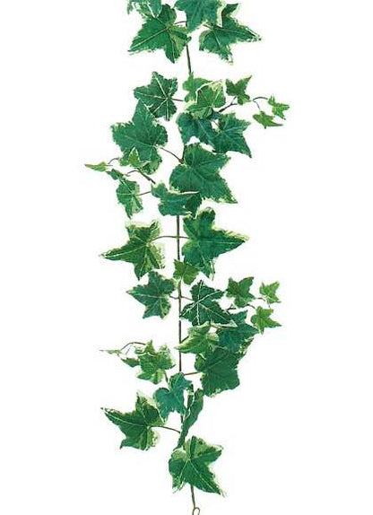 180cm オランダアイビーガーランド(102/ワイヤー入り) [ONSLEGA7606] |人工観葉植物 造花 フェイクグリーン 資材 装飾 飾付 デコレーション 飾り イベント パーティー フラワーアレンジメント 花材 インテリア 店舗装飾 ディスプレイ 室内装飾 飾り付け ツタ ガーランド