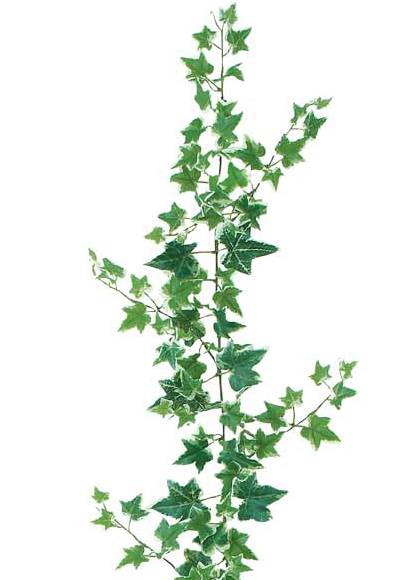 180cm オランダアイビーガーランド(171/ワイヤー入り) [ONSLEGA7603] |人工観葉植物 造花 フェイクグリーン 資材 装飾 飾付 デコレーション 飾り イベント パーティー フラワーアレンジメント 花材 インテリア 店舗装飾 ディスプレイ 室内装飾 飾り付け ツタ ガーランド