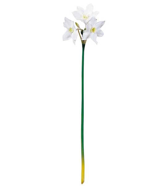 55cm ユーチャリス [ONSFLSP7487] |人工観葉植物 アートフラワー 造花 フラワー フェイクグリーン 装飾 飾付 小物 デコレーション 飾り イベント パーティー フラワーアレンジメント 店舗装飾 花材 手作り 材料 パーツ ディスプレイ 室内装飾 飾り付け