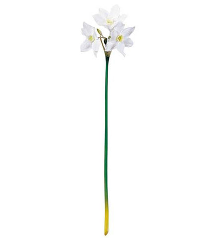 55cm ユーチャリス [ONSFLSP7487] |人工観葉植物 アートフラワー 造花 フラワー フェイクグリーン 装飾 飾付 小物 デコレーション 飾り イベント パーティー フラワーアレンジメント 店舗装飾 花材 手作り 材料 パーツ ディスプレイ 室内装飾 飾り付け