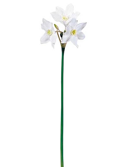 55cm ユーチャリス [ONSFLSP7487] |人工観葉植物 アートフラワー 造花 フラワー フェイクグリーン 装飾 飾付 小物 デコレーション 飾り イベント パーティー フラワーアレンジメント 店舗装飾 花材 手作り 材料 パーツ ディスプレイ 室内装飾 飾り付け