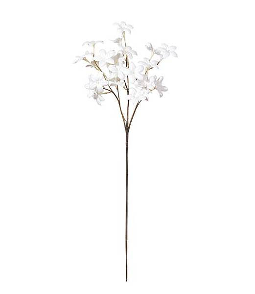 45cm ステファノティス [ONSFLSP7470] |人工観葉植物 アートフラワー 造花 フラワー フェイクグリーン 装飾 飾付 小物 デコレーション 飾り イベント パーティー フラワーアレンジメント 店舗装飾 ディスプレイ 室内装飾 飾り付け