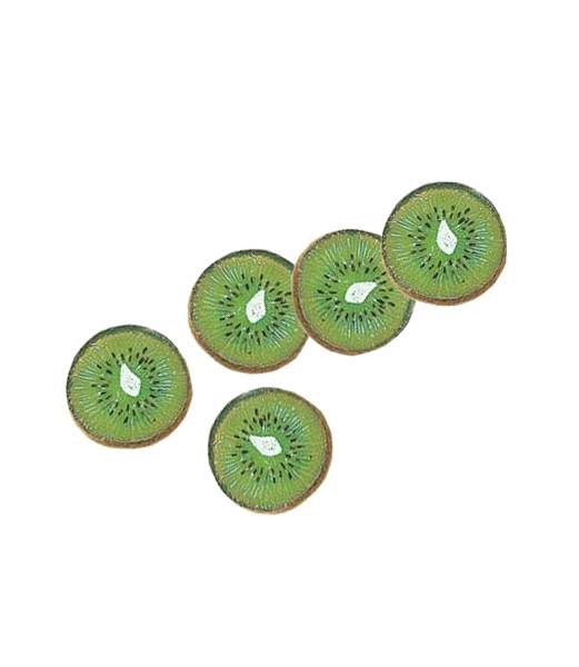 50mm キーウィスライス（5個） [ONSDIFV7960] |フェイクフード 食品サンプル レプリカ ディスプレイ デコレーション 作り物 装飾 飾付 飾り 小物 イベント パーティー 店舗装飾 飾り付け テーブルコーディネート フルーツ 果物 キーウィ キウイ