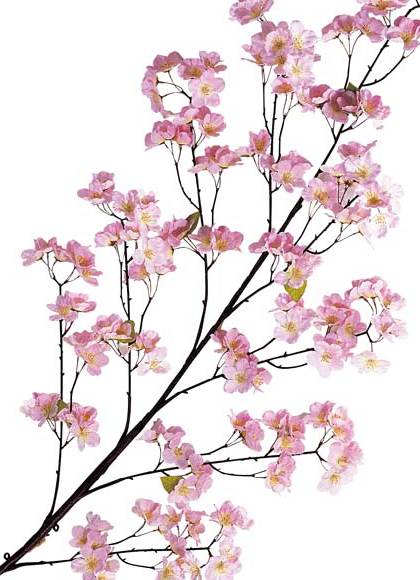 140cm 桜大枝(186) [ONSFLSP1427] 代引決済不可 |人工観葉植物 アートフラワー 造花 フラワー フェイクグリーン 装飾 飾付 小物 デコレーション 飾り イベント パーティー フラワーアレンジメント 店舗装飾 桜 さくら 枝 花材 パーツ ディスプレイ 室内装飾 飾り付け 春