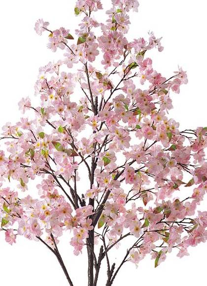 210cm サクラツリー(スタンド付き) [ONSFLTR1251] 代引決済不可 送料無料 |人工観葉植物 アートフラワー 造花 フラワー フェイクグリーン 装飾 飾付 デコレーション 飾り イベント パーティー フラワーアレンジメント 店舗装飾 桜 さくら ディスプレイ 室内装飾 飾り付け 春