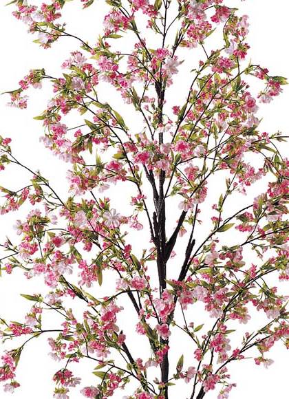 210cm ヤエザクラツリー(スタンド付き) [ONSFLTR1252] 代引決済不可 送料無料 |人工観葉植物 アートフラワー 造花 フラワー フェイクグリーン 装飾 飾付 デコレーション 飾り イベント パーティー フラワーアレンジメント 店舗装飾 桜 さくら ディスプレイ 飾り付け 春