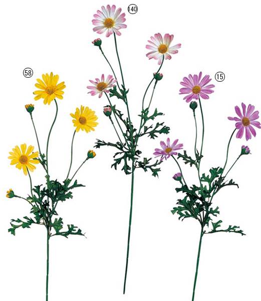 50cm マーガレット [ONSFLSP1349] |人工観葉植物 アートフラワー 造花 フラワー フェイクグリーン 装飾 飾付 小物 デコレーション 飾り イベント パーティー フラワーアレンジメント 店舗装飾 花材 手作り 材料 パーツ ディスプレイ 室内装飾 飾り付け