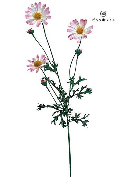 50cm マーガレット [ONSFLSP1349] |人工観葉植物 アートフラワー 造花 フラワー フェイクグリーン 装飾 飾付 小物 デコレーション 飾り イベント パーティー フラワーアレンジメント 店舗装飾 花材 手作り 材料 パーツ ディスプレイ 室内装飾 飾り付け