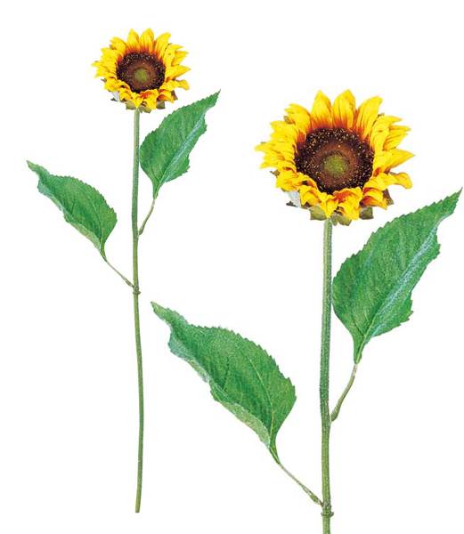 50cm ヒマワリ [ONSFLSP3696] |人工観葉植物 アートフラワー 造花 フラワー フェイクグリーン 装飾 飾付 デコレーション 飾り イベント パーティー フラワーアレンジメント インテリア 店舗装飾 ディスプレイ 室内装飾 飾り付け 夏 ひまわり 向日葵