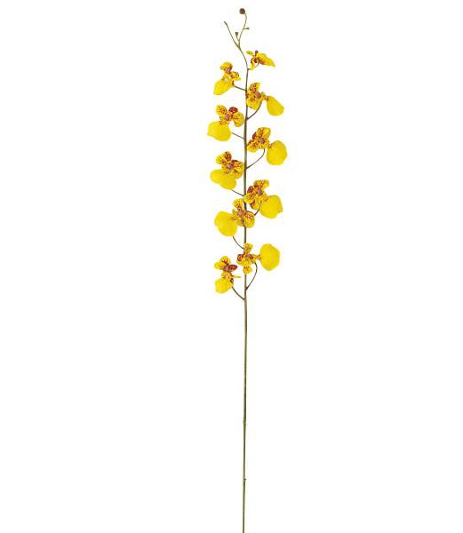 75cm オンシジウム(10/2) [ONSFLSP7837] |人工観葉植物 アートフラワー 造花 フラワー フェイクグリーン 装飾 飾付 小物 デコレーション 飾り イベント パーティー フラワーアレンジメント 店舗装飾 蘭 らん ラン ディスプレイ 室内装飾 飾り付け