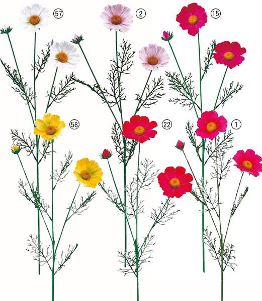 70cm コスモス(3) [ONSFLSP5191] |人工観葉植物 アートフラワー 造花 フラワー フェイクグリーン 装飾 飾付 小物 デコレーション 飾り イベント パーティー フラワーアレンジメント 店舗装飾 花束 ディスプレイ 室内装飾 飾り付け