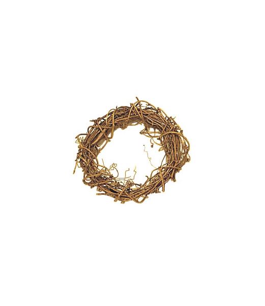 15cm サンキライヒゲ付リース [ONSDO70231] |人工観葉植物 アートフラワー 造花 フェイク 資材 装飾 飾付 小物 ガーデニング 置物 デコレーション 飾り イベント パーティー フラワーアレンジメント 店舗装飾 ディスプレイ 室内装飾 飾り付け 木製飾り サンキライヒゲ リース