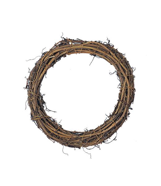 40cm サンキライヒゲ付リース [ONSDO70235] |人工観葉植物 アートフラワー 造花 フェイクグリーン 資材 装飾 飾付 小物 ガーデニング 置物 デコレーション 飾り イベント パーティー フラワーアレンジメント 店舗装飾 ディスプレイ 室内装飾 飾り付け サンキライヒゲ リース