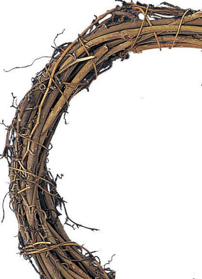40cm サンキライヒゲ付リース [ONSDO70235] |人工観葉植物 アートフラワー 造花 フェイクグリーン 資材 装飾 飾付 小物 ガーデニング 置物 デコレーション 飾り イベント パーティー フラワーアレンジメント 店舗装飾 ディスプレイ 室内装飾 飾り付け サンキライヒゲ リース