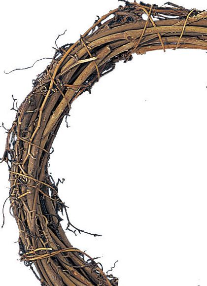 40cm サンキライヒゲ付リース [ONSDO70235] |人工観葉植物 アートフラワー 造花 フェイクグリーン 資材 装飾 飾付 小物 ガーデニング 置物 デコレーション 飾り イベント パーティー フラワーアレンジメント 店舗装飾 ディスプレイ 室内装飾 飾り付け サンキライヒゲ リース