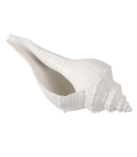 14cm ホワイトトリトンシェル [ONSDIMI31007] |人工観葉植物 造花 フェイク 装飾 飾付 小物 雑貨 販売 デコレーション 飾り イベント パーティー フラワーアレンジメント インテリア 店舗装飾 花材 資材 ディスプレイ 飾り付け 海 作り物 レプリカ 夏 マリン 貝殻 貝
