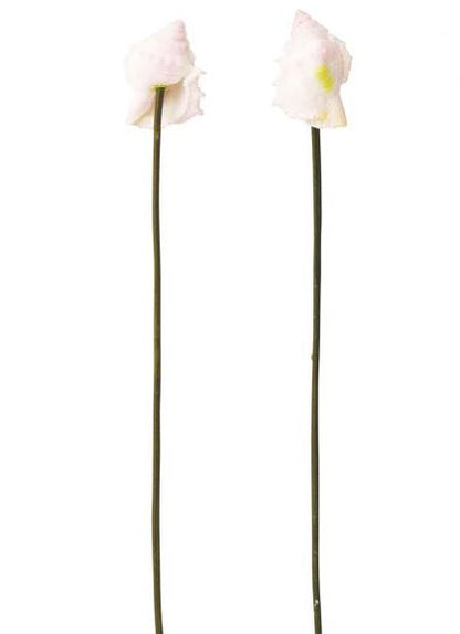 60mm ピンクシェル(ワイヤー付き) (6本入り) [ONSPAFI3002] |人工観葉植物 アートフラワー 造花 フェイク 装飾 飾付 小物 雑貨 販売 デコレーション 飾り イベント パーティー フラワーアレンジメント インテリア 店舗装飾 花材 資材 ディスプレイ 海 レプリカ 夏 マリン 貝