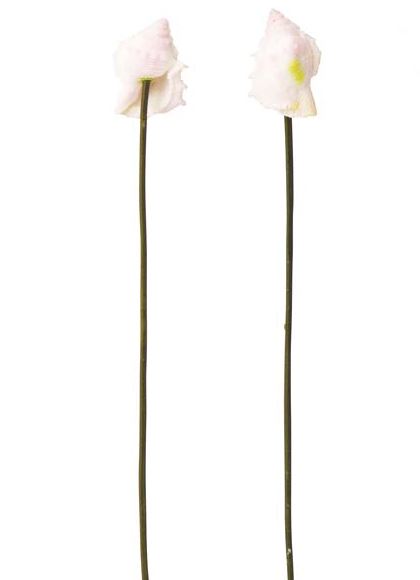 60mm ピンクシェル(ワイヤー付き) (6本入り) [ONSPAFI3002] |人工観葉植物 アートフラワー 造花 フェイク 装飾 飾付 小物 雑貨 販売 デコレーション 飾り イベント パーティー フラワーアレンジメント インテリア 店舗装飾 花材 資材 ディスプレイ 海 レプリカ 夏 マリン 貝