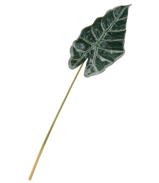 55cm アマゾニカリーフ [ONSLESP7673] |人工観葉植物 アートフラワー 造花 フラワー フェイクグリーン 資材 装飾 飾付 デコレーション 飾り イベント パーティー フラワーアレンジメント 花材 インテリア 店舗装飾 ディスプレイ 室内装飾 飾り付け ガーランド リーフ