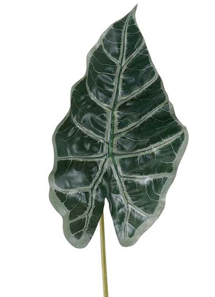 55cm アマゾニカリーフ [ONSLESP7673] |人工観葉植物 アートフラワー 造花 フラワー フェイクグリーン 資材 装飾 飾付 デコレーション 飾り イベント パーティー フラワーアレンジメント 花材 インテリア 店舗装飾 ディスプレイ 室内装飾 飾り付け ガーランド リーフ