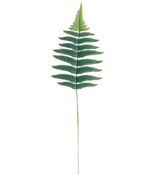 55cm ファーンリーフ（12本入り） [ONSLESP7594] |人工観葉植物 アートフラワー 造花 フェイクグリーン 資材 装飾 飾付 デコレーション 飾り イベント パーティー フラワーアレンジメント 花材 インテリア 店舗装飾 ディスプレイ 室内装飾 飾り付け ガーランド リーフ