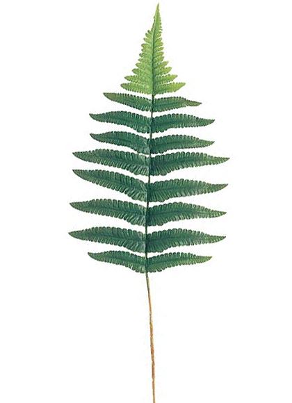 55cm ファーンリーフ（12本入り） [ONSLESP7594] |人工観葉植物 アートフラワー 造花 フェイクグリーン 資材 装飾 飾付 デコレーション 飾り イベント パーティー フラワーアレンジメント 花材 インテリア 店舗装飾 ディスプレイ 室内装飾 飾り付け ガーランド リーフ
