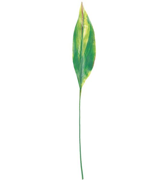 70cm シマハランリーフ [ONSLESP7630] |人工観葉植物 アートフラワー 造花 フラワー フェイクグリーン 資材 装飾 飾付 デコレーション 飾り イベント パーティー フラワーアレンジメント 花材 インテリア 店舗装飾 ディスプレイ 室内装飾 飾り付け ガーランド リーフ